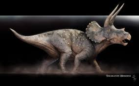 triceratops wallpapers wallpaper cave