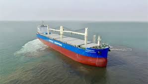 62 000 dwt pulp carrier m v cosco