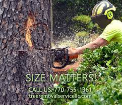 Southland tree service provides the buford area with the best in tree service and tree removal service. Tree Removal Buford Ga Tree Service Tree Removal Service Llc
