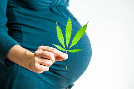smoking weed while pregnant the risks