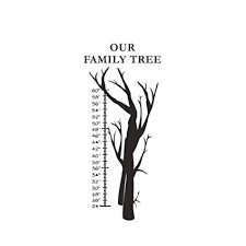 Amazon Com Vosarea Wall Sticker Family Tree Height Chart