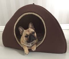 Take a browse to see which one you prefer. Dreamy Igloo Dog Bed Sturdy Igloo Dog Den D For Dog