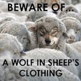 what-is-the-opposite-of-a-wolf-in-sheeps-clothing
