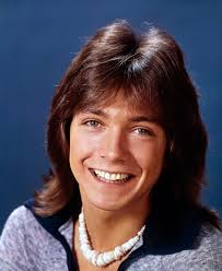 Image result for david cassidy