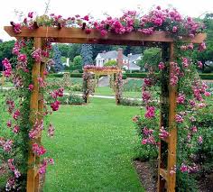 Rose Garden Arches Picture Of