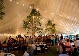 Cafe String Tent Lighting Rent Decorative Wedding Tent Lights