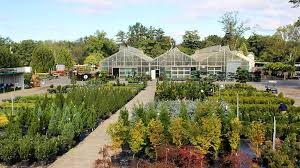 hicks nurseries celebrates 170 years