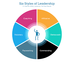 the six styles of leadership intense