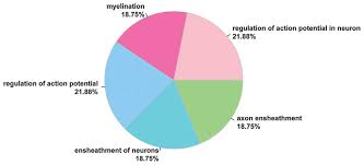 Microarray Data Analysis Of Neuroblastoma Expression Of