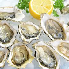 oyster nutrition health benefits of