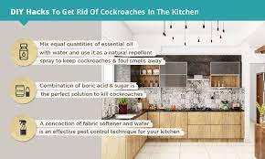 get rid of roaches in the kitchen