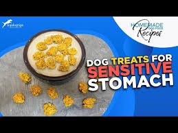 dog treats for sensitive stomach