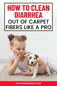 to clean diarrhea out of carpet fibers