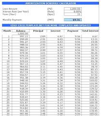 Repayment Schedule Calculator Excel Onourway Co