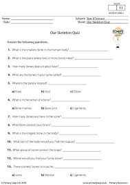 Whether you have a science buff or a harry potter fa. Science Our Skeleton Quiz Worksheet Primaryleap Co Uk