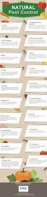 Here are the major types of products you can buy and how to use them to your. Top 20 Natural Pest Control Methods Organic Pest Control Infographic
