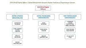 Cdo Organizasyon Şeması Cdo Organization Chart