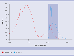 Fluorescent Dyes Flow Cytometry Miltenyi Biotec