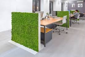 Supporting Walls With Stabilized Moss