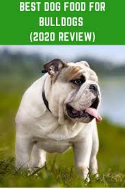 They're really easy to add to your frenchie's existing diet, and can help make the. What Is The Best Dog Food For English Bulldogs In 2020 Dog Food Recipes Best Dog Food Bulldog