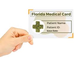 Check spelling or type a new query. Get Your Medical Marijuana Card Florida Today My Mmj Doctor