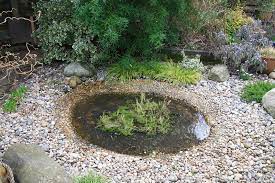 Small Round Garden Pond Surrounded By