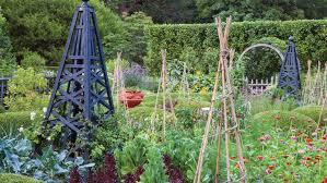 Creating The Perfect Potager