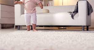 brothers carpet cleaning bloomington
