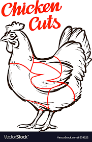 Chicken Hen Chart Meat Cuts Or Butcher