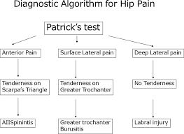 flowchart of diagnosis based on the