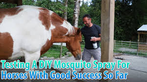 how to make an effective mosquito spray