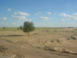 Desertification of the grasslands - 오마이뉴스 모바일