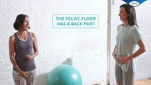 how to find your pelvic floor you