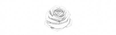 Keep your sketch very light. How To Draw A Rose