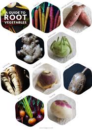 A Guide To Root Vegetables For Vegetarian Cooks From Oh My