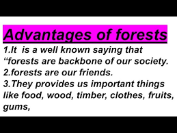 advanes of forests 9 line essay in