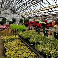 Winchester Town Of Ma Nurseries