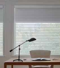 Dual Roller Shades