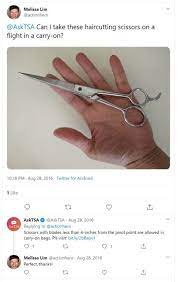 can you bring scissors on a plane
