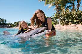 discovery cove announces fl resident
