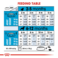 Royal Canin Size Health Nutrition Medium Junior Puppy Dry Dog Food