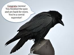 Think you know a lot about halloween? Corvid Trivia Quiz