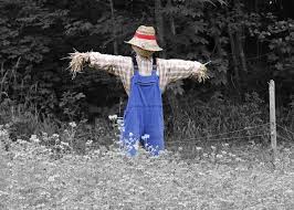 diy project how to make a scarecrow