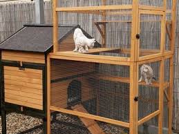 Cat Balcony Enclosures The Safe