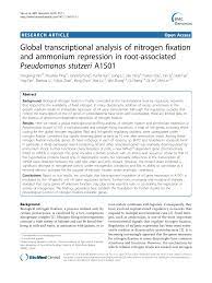 Global transcriptional analysis of nitrogen fixation and ammonium  repression in root-associated Pseudomonas stutzeri A1501 – topic of  research paper in Biological sciences. Download scholarly article PDF and  read for free on CyberLeninka