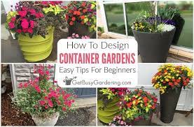 Container Flowers Container Gardening