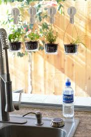 Diy Indoor Hanging Herb Garden