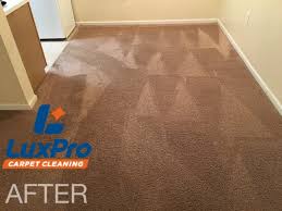 carpet cleaning rug cleaning in niota