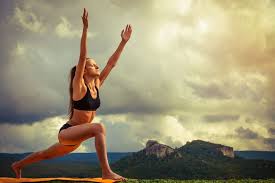 vinyasa yoga poses flow asanas
