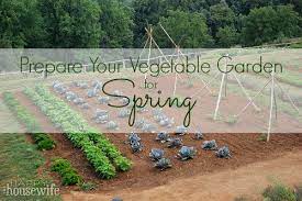 Vegetable Garden For Spring